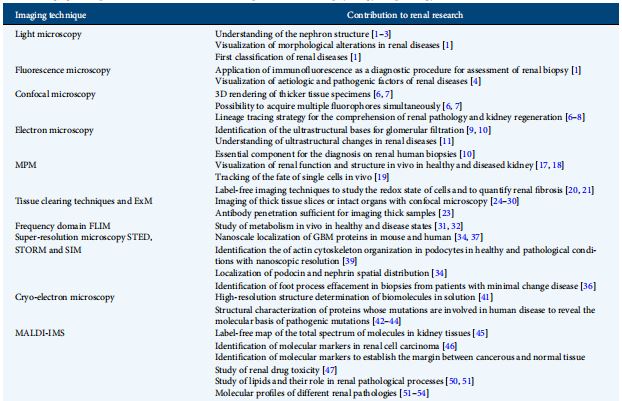 Table 1. Imaging techniques and their contribution to the comprehension of renal physiology and pathology so far