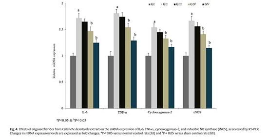 figure 4-Cistanche deserticola has an Anti-inflammatory function