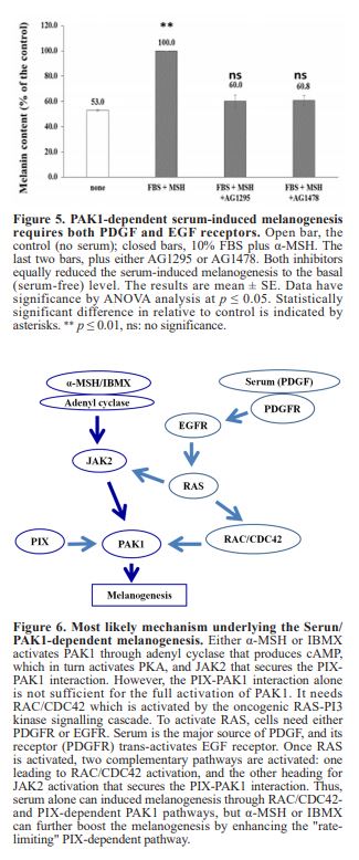 Figure 5+Figure 6