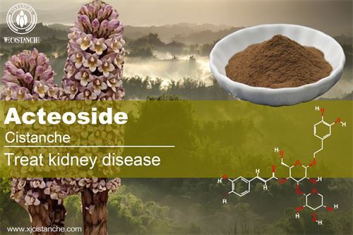 treatment for kidney disease: cistanche deserticola extract
