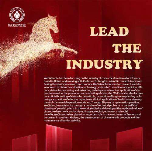 Cistanche lead the industry Cistanche lead the industry