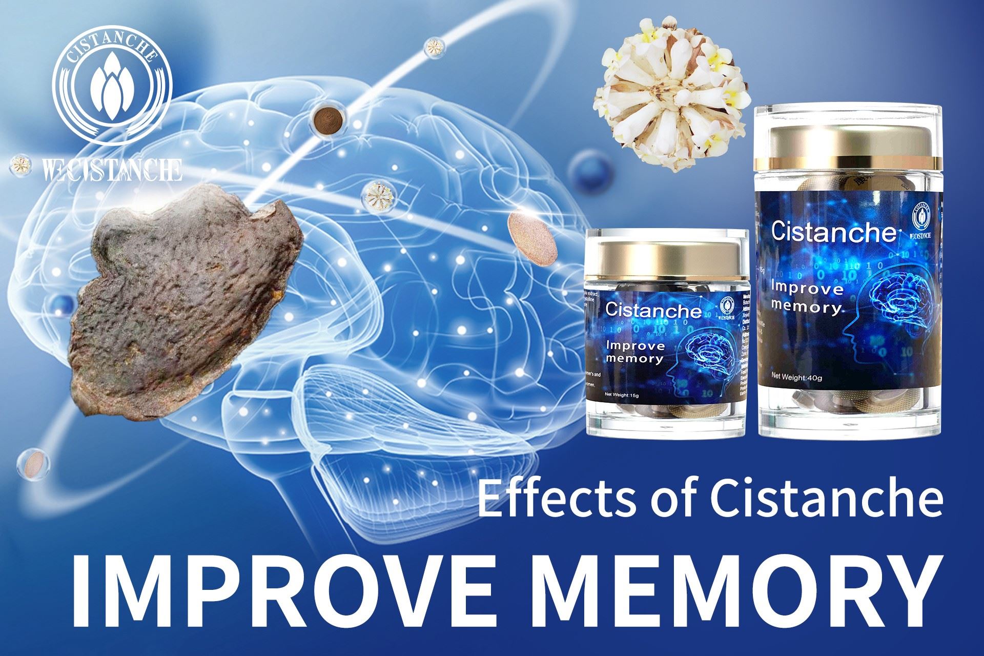 herb for improving memory herb for improving memory