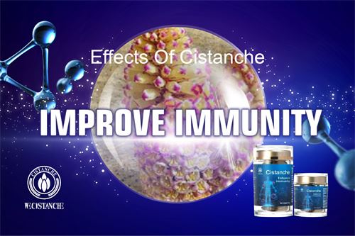 Cistanche improve immunity