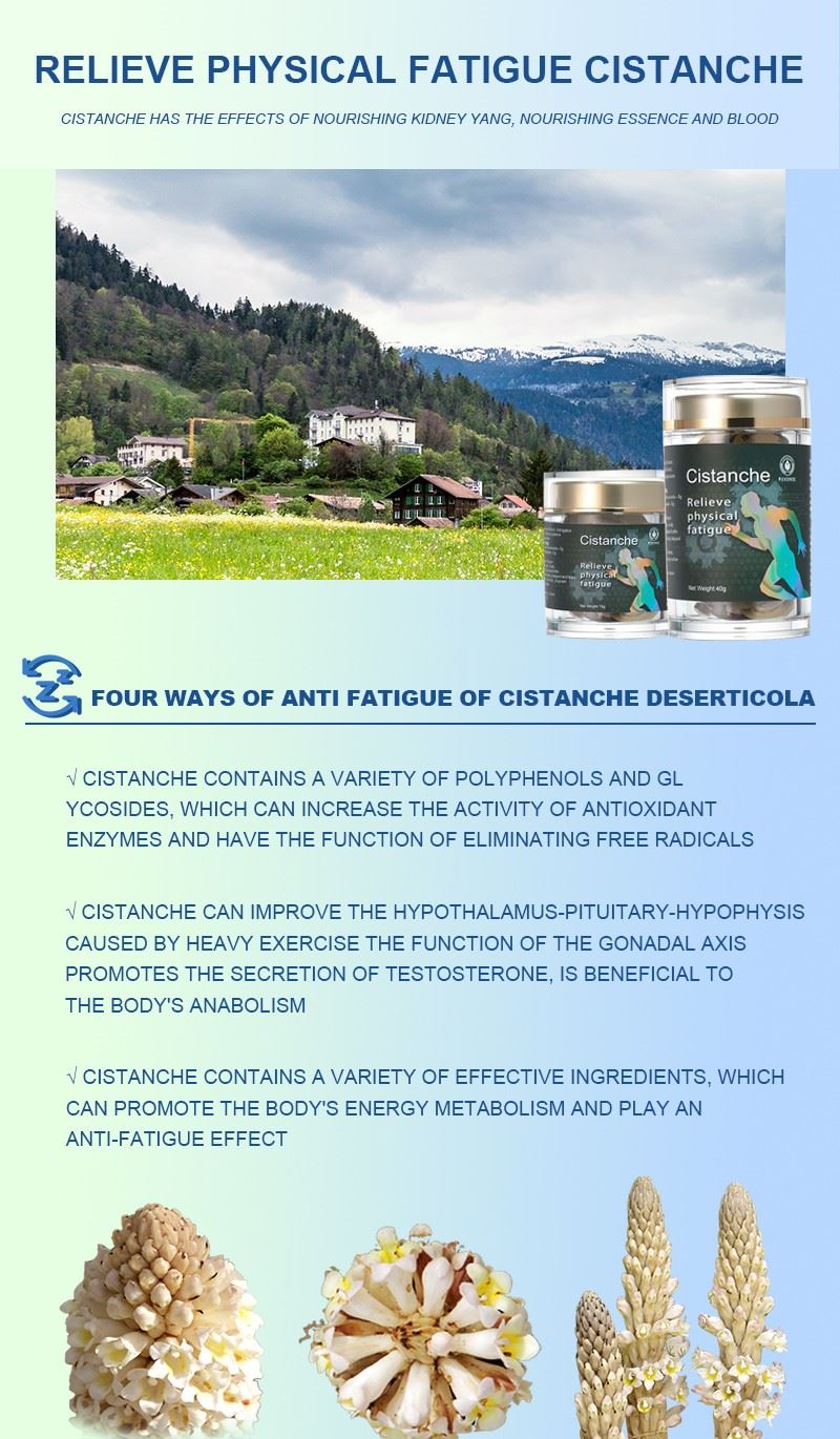 best herb for anti fatigue