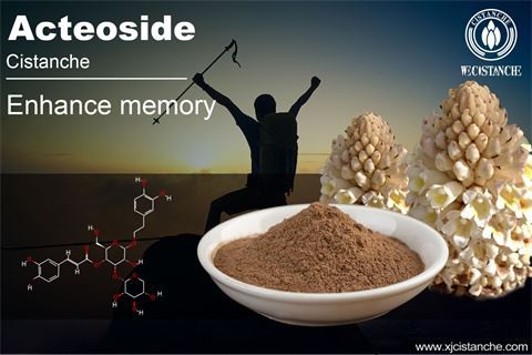 CISTANCHE EXTRACT: IMPROVE MEMORY