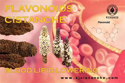 10flavonoids blood lipid lowering