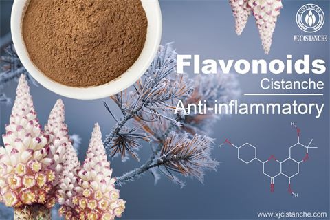 flavonoids anti-inflammatory