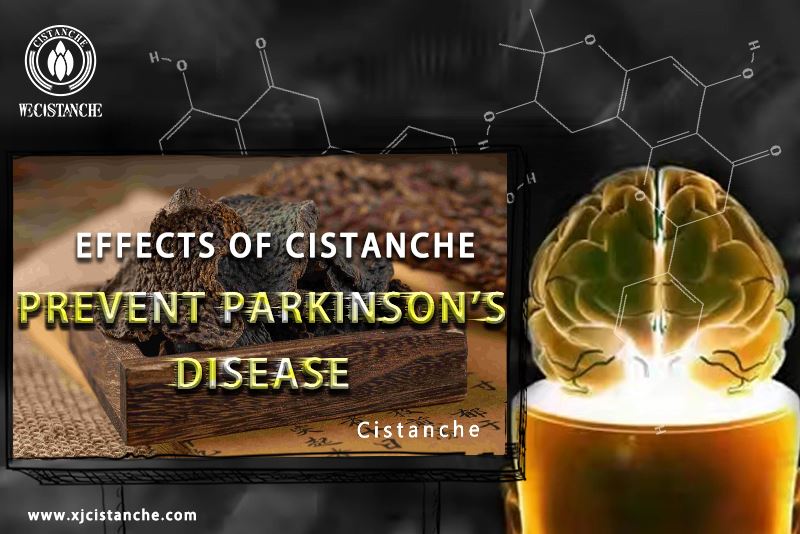 the best herb for parkinson's disease the best herb for parkinson's disease