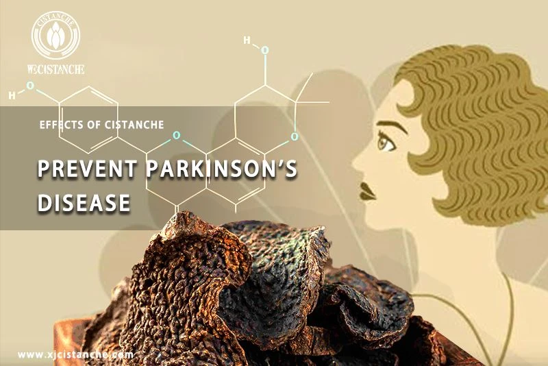 how to prevent parkinson's disease how to prevent parkinson's disease