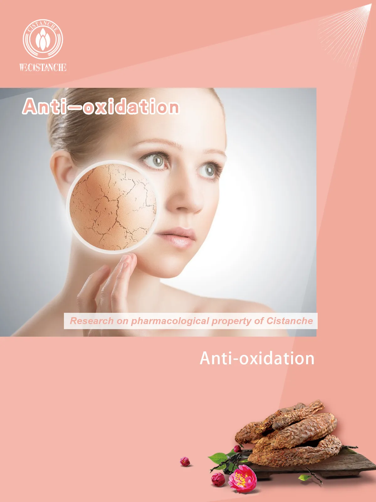 anti aging3