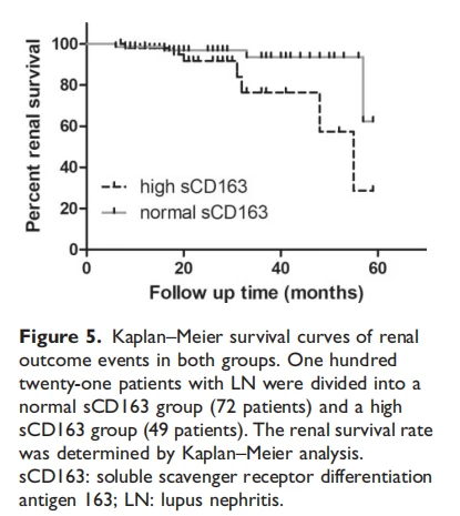 Kaplan–Meier survival curves of renal outcome events in both groups. One hundred twenty-one patients with LN were divided into a normal sCD163 group (72 patients) and a high sCD163 group (49 patients). The renal survival rate was determined by Kaplan–Meier analysis. sCD163: soluble scavenger receptor differentiation antigen 163; LN: lupus nephritis.