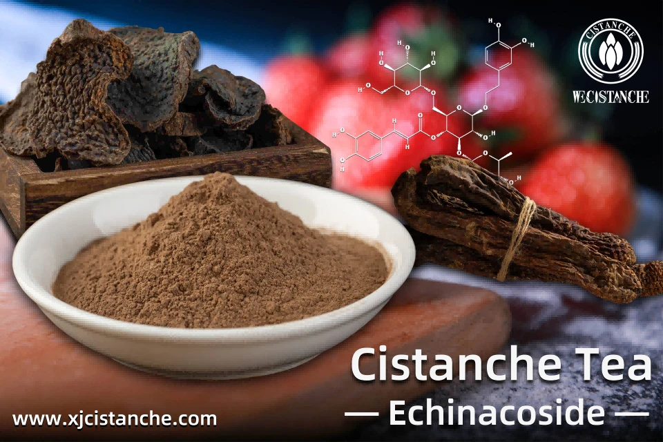Cistanche tea Cistanche tea