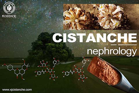 cistanche type 2 diabetes