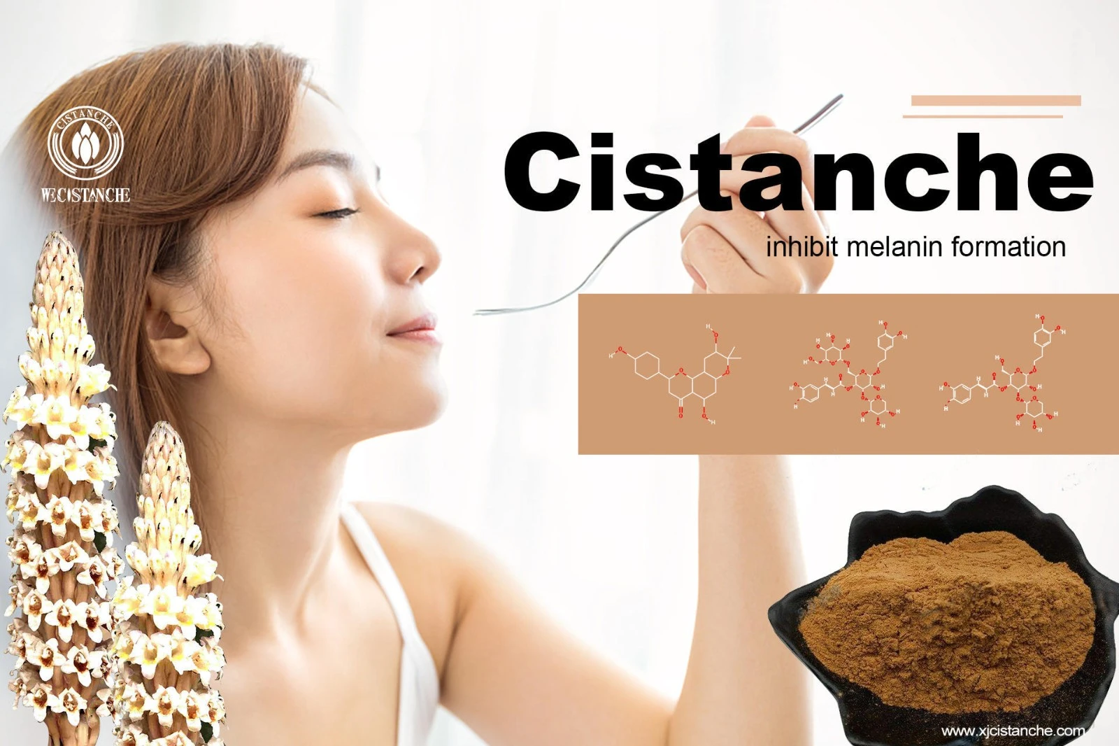 cistanche pros and cons cistanche pros and cons