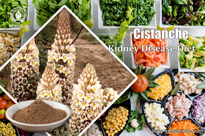 cistanche tablets benefits