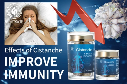 cistanche capsules cistanche capsules