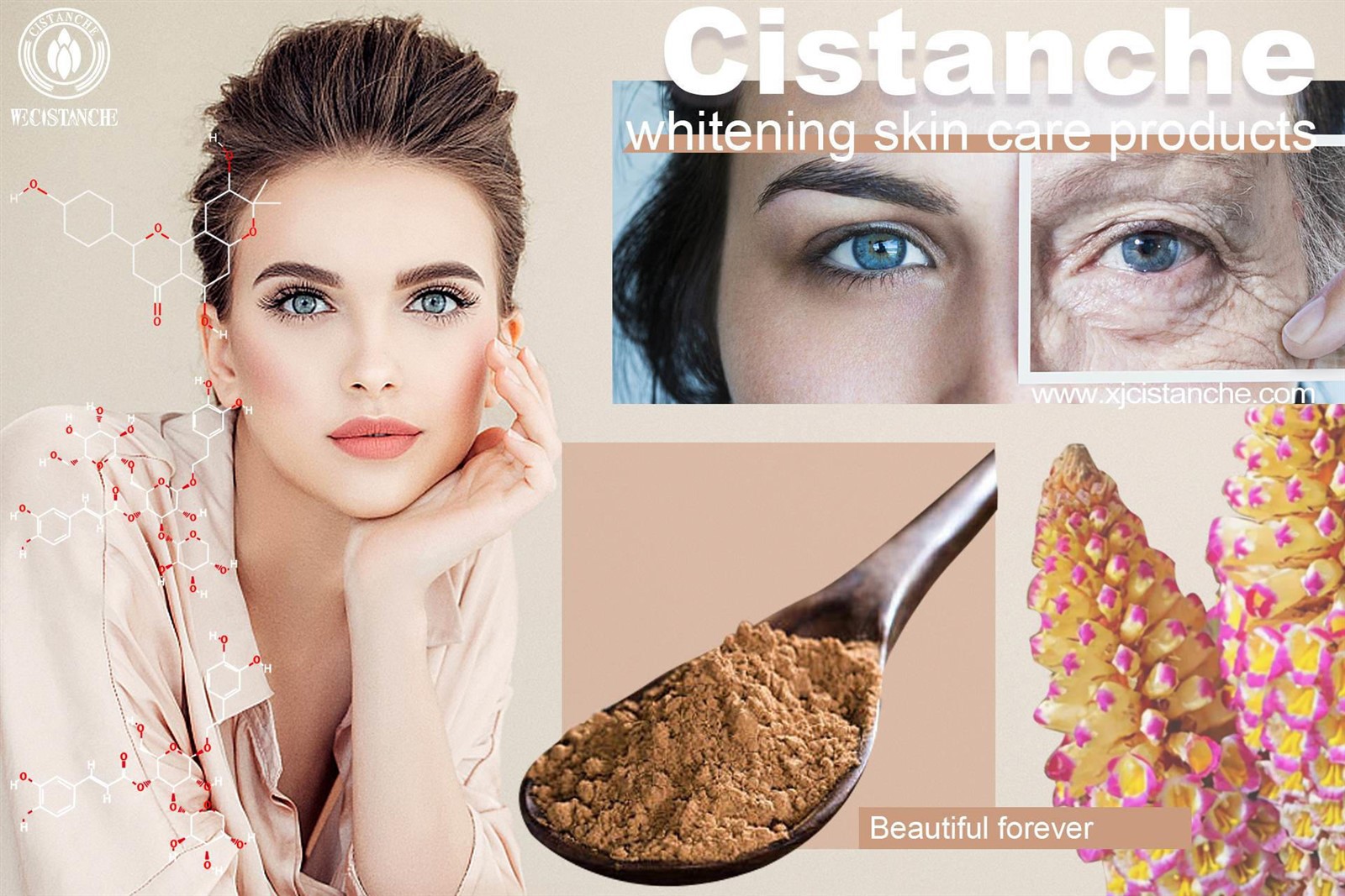 cistanche in urdu