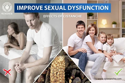 cistanche supplement review cistanche supplement review