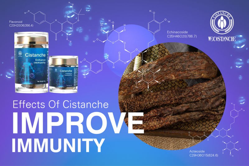 cistanche capsules