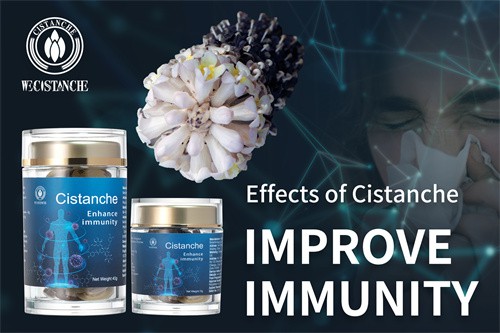 herba cistanches side effects herba cistanches side effects