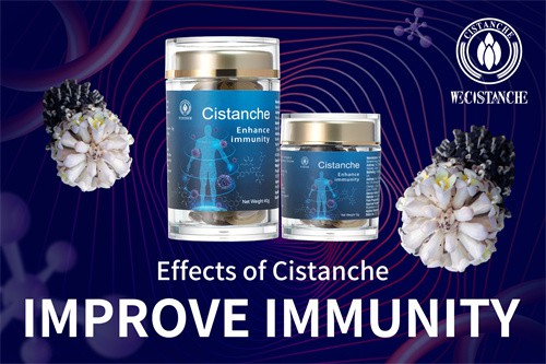 cistanche dosagem cistanche dosagem