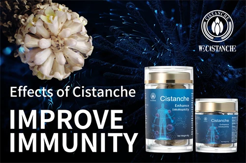 cistanche effects