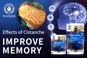 short term memory how to improve