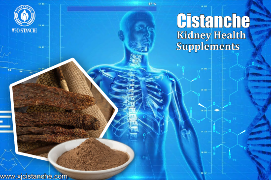 20% CISTANCHE TUBULOSA EXTRACT FOR KIDNEY