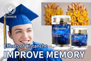 improve your memory improve your memory