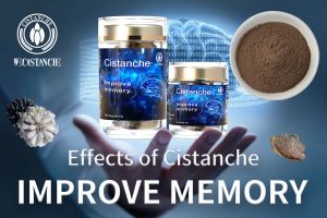 improve cognitive function improve cognitive function