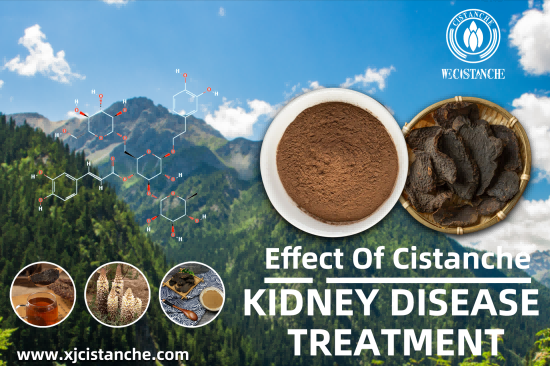herbal formulation for kidney disease herbal formulation for kidney disease