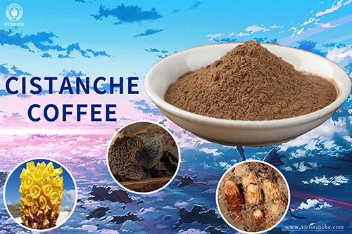 Cistanche extract Cistanche extract