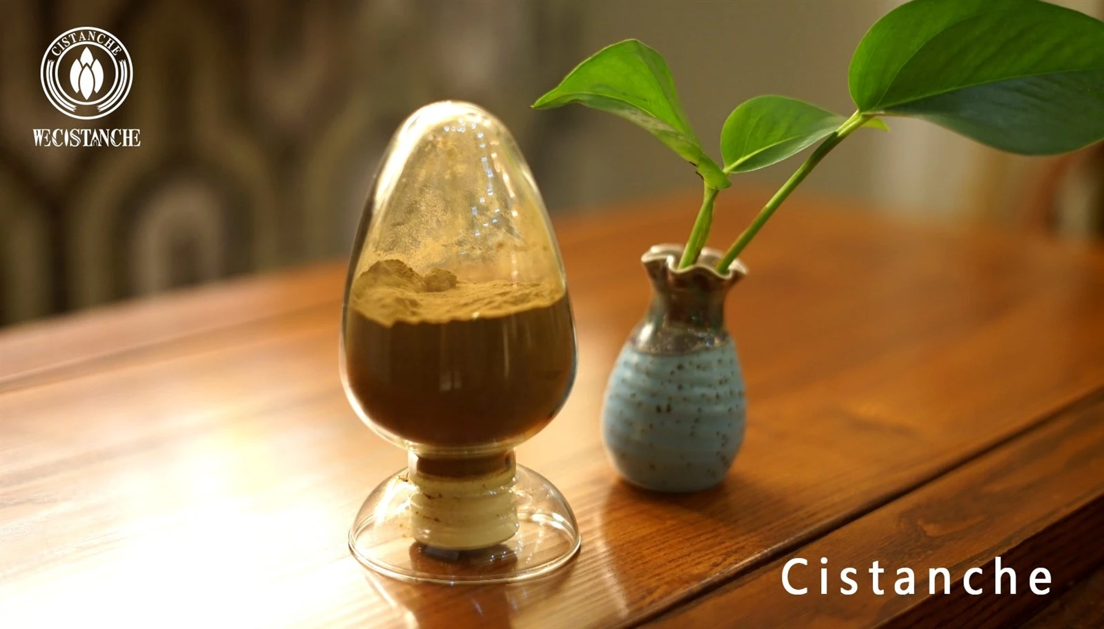 cistanche tubulosa ingredients for cosmetic