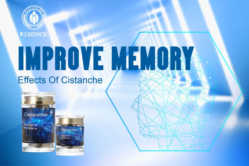 cistanche tubulosa for enhancing memory and immunity