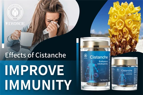 cistanche tubulosa for enhancing memory and immunity