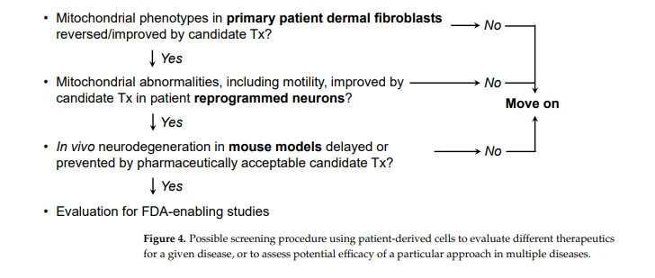 improving brain function improving brain function