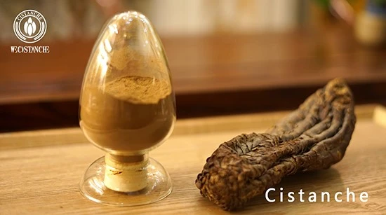 Cistanche extract 3 Cistanche extract 3