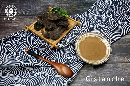 Cistanche extract 4 Cistanche extract 4